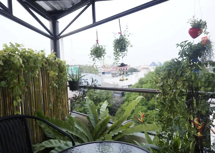 Baan